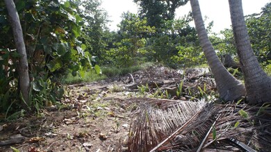 0 Sandy Beach Beachfront Lot unit MFRPR9102381, Rincon, PR 00677 - photo 3