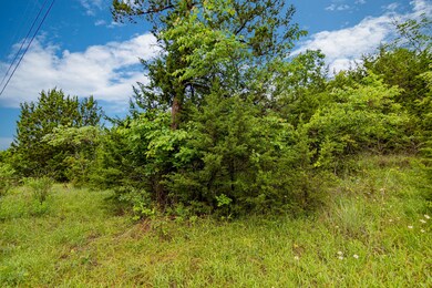 Lot 13 N Wilderness Trail, Kimberling City, MO 65686 - photo 4