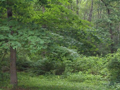 33 Lawrence Rd, Salem, NH 03079 - photo 6