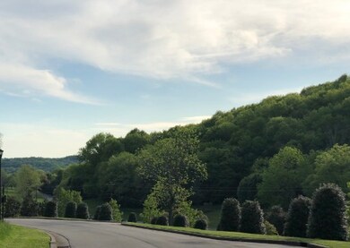 3004 Strickland Dr, Franklin, TN 37069 - photo 3