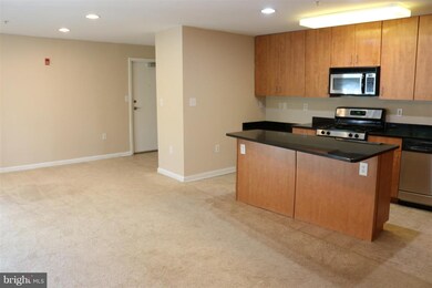 1002 Primrose Rd, Annapolis, MD 21403 - photo 5