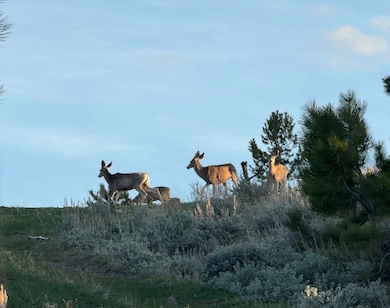 Tbd, Big Timber, MT 59011 - photo 7