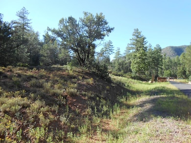 389 W Apache Trail, Pine, AZ 85544 - photo 4