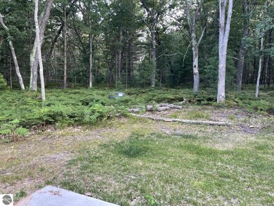 6630 Loud Dr, Oscoda, MI 48750 - photo 5