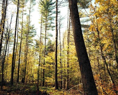 50 Barnett Rd, Fairfax, VT 05454 - photo 5