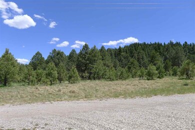 9 Copper Canyon Ct unit 12++, Cloudcroft, NM 88317 - photo 4