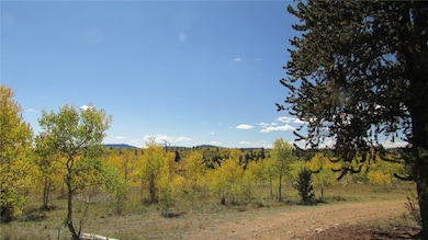 1044 Buffalo Ridge Rd, Como, CO 80432 - photo 5