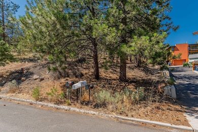 21-web-or-mls-Riley_Visuals-21
