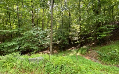 Additional View