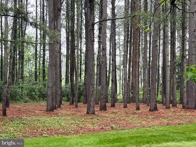 Lot B Catalpa Point Rd, Easton, MD 21601 - photo 2