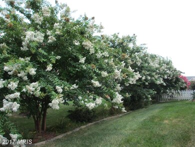 8233 Electric Ave, Vienna, VA 22182 - photo 3