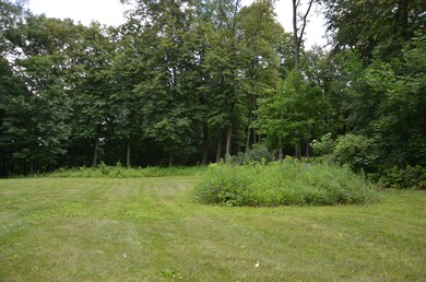 5171 Reservation Rd, Oswego, IL 60543 - photo 5