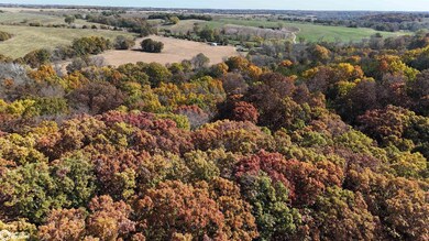 0 210th Ave unit 6322359, Cincinnati, IA 52549 - photo 3