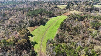 DJI_20241119125945_0105_D