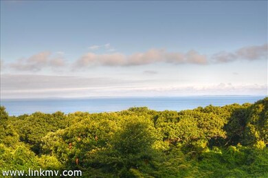 63 Putnam Rd, Chilmark, MA 02535 - photo 5