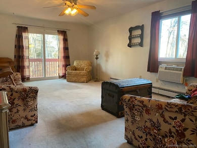 6 Rose Ln unit 1-9, Danbury, CT 06811 - photo 6