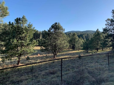 Lot 4 James Canyon Hwy unit 4, Cloudcroft, NM 88317 - photo 6