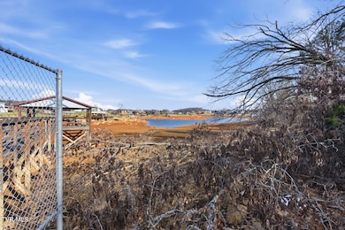 780 Hamilton Rd unit A-4, Blountville, TN 37617 - photo 6