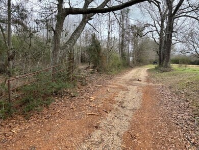 43443 Jackson Brumfield Rd, Franklinton, LA 70438 - photo 7