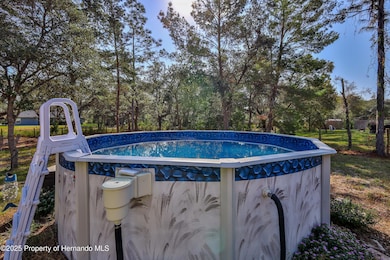 12184 Lark Sparrow Rd, Weeki Wachee, FL 34614 - photo 3