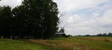 8681 S 850 W, Nabb, IN 47147 - photo 4