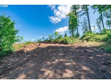 0 S Silver Lake Rd unit 1 23501672, Castle Rock, WA 98611 - photo 5