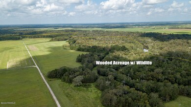628 Maraist Rd Aerials-5