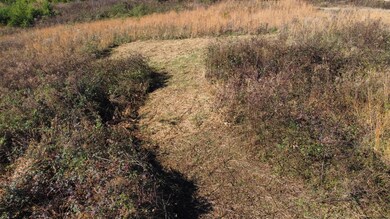 dji_fly_20241111_111450_606_173134185864