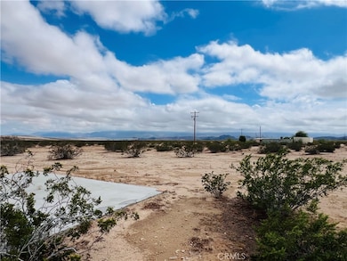 25 Copper Moon Ln, Joshua Tree, CA 92252 - photo 4
