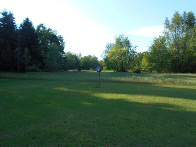 DSCN3198