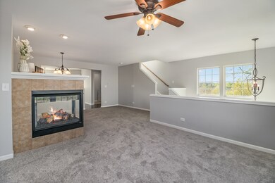 1085 Crane Point, Elgin, IL 60124 - photo 3