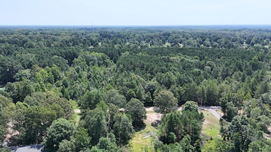 Sassafras Trail, White Hall, AR 71602 - photo 5