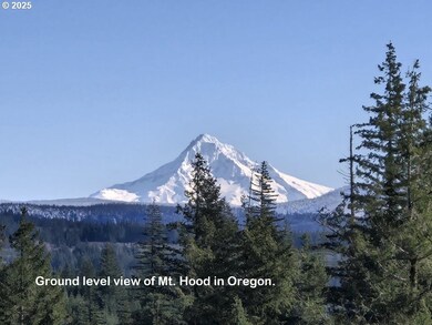 1051 Skamania Mines Rd, Washougal, WA 98671 - photo 2