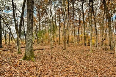 0 Furnace Rd unit 3455383, Iron Station, NC 28080 - photo 4