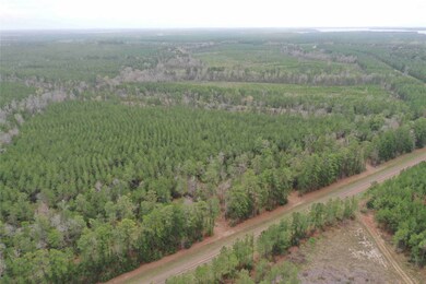 Tract 38 Highway 83, Pineland, TX 75930 - photo 4