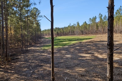 0 Ben Mosley Cir unit 25735821, Summerville, GA 30747 - photo 5