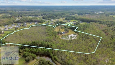 524 Wilkinson Rd NE, Ludowici, GA 31316 - photo 3