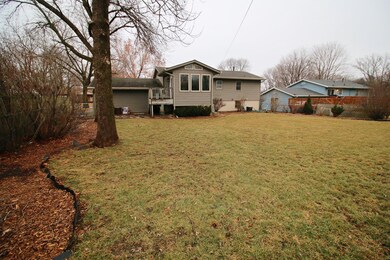 backyard2