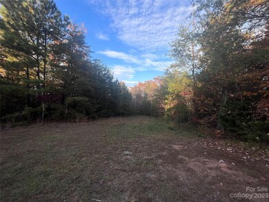 0 Shady Bark Ln unit 40 CAR4070380, Rutherfordton, NC 28139 - photo 4