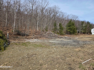 350 Mohawk Trail, North Adams, MA 01247 - photo 6