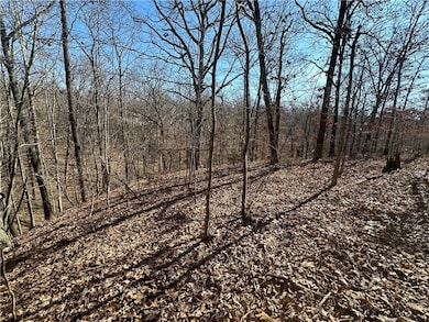 .34 Acres Carpenter Ln, Bella Vista, AR 72715 - photo 5