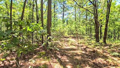 169378 Indian Hwy, Kiamichi Christian Mission, OK 74549 - photo 6