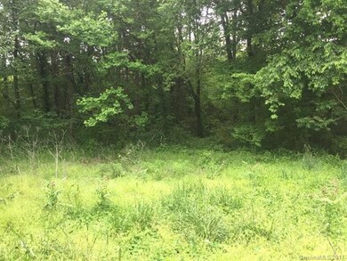 Woodline along the back of the property.