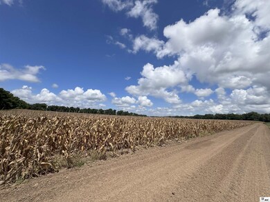 0 State Route 573 unit 80+-acres, St. Joseph, LA 71633 - photo 4