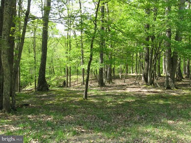 0 Tranquil Way unit WVMO115228, Great Cacapon, WV 25422 - photo 4