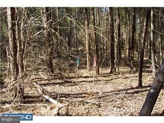 0 Geryville Pike unit 1003826534, Pennsburg, PA 18073 - photo 5