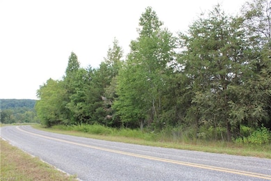 00 Ralph Joyce Rd, Sandy Ridge, NC 27046 - photo 2