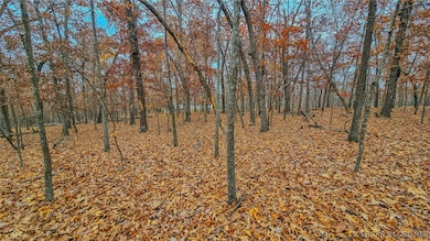 Lot #274 Grand Point Blvd, Jasper Township, MO 65079 - photo 3