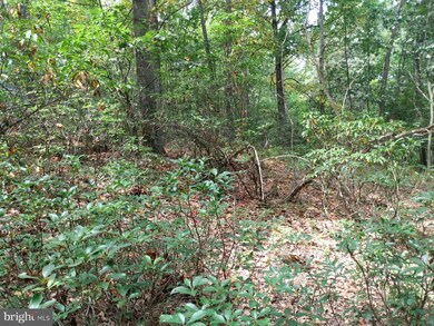 0 Roberts Ln unit WVMO2000484, Great Cacapon, WV 25422 - photo 3