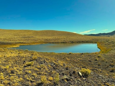 State Highway 9, Guffey, CO 80820 - photo 2